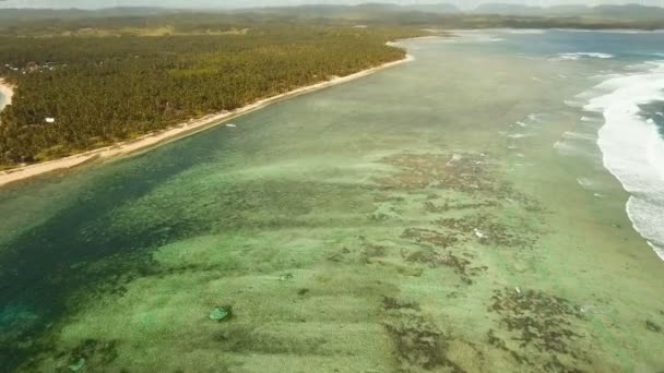 Antenne bekijken strand op een tropisch eiland. Mindanao, Siargao. — Stockvideo