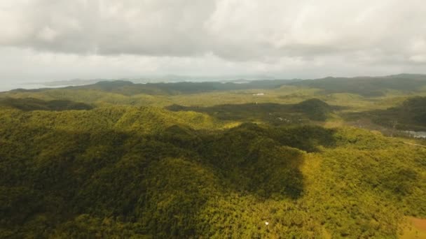 Telefon wieża sygnalizacyjna wśród zielonych lasów i gór. Widok z lotu ptaka. Siargao island, Filipiny. — Wideo stockowe