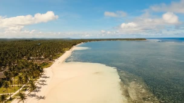 Anteny Zobacz pięknej plaży na tropikalnej wyspie. Filipiny, Siargao. — Wideo stockowe