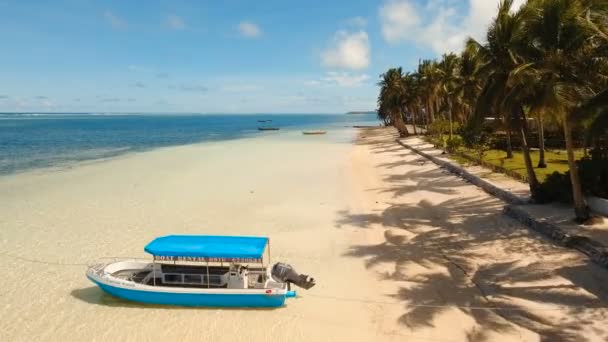 Antenn Visa vacker strand på en tropisk ö. Filippinerna, Siargao. — Stockvideo