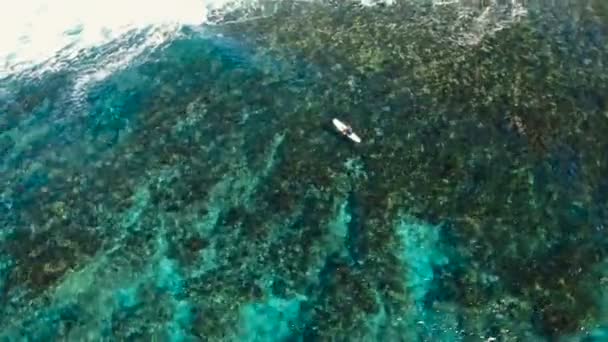 Widok z lotu ptaka surferów na falach. Siargao, Filipiny. Cloud 9. — Wideo stockowe