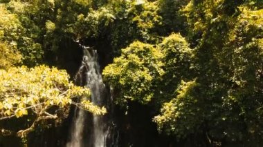 Güzel tropik şelale. Filipinler Siargao Adası.