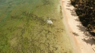 Hava güzel bir plaj tropikal bir adada görüntüleyin. Filipinler, Siargao.