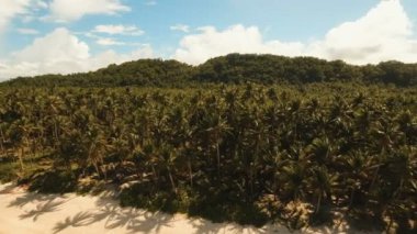 Hava güzel bir plaj tropikal bir adada görüntüleyin. Filipinler, Siargao.