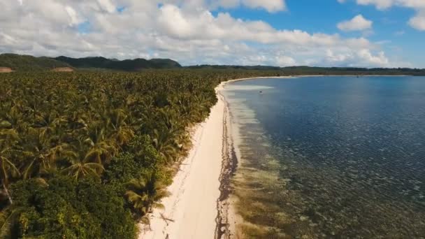 Вид с воздуха красивый пляж на тропическом острове. Philippines, Siargao . — стоковое видео