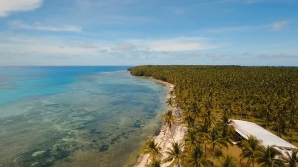 Légifelvételek gyönyörű tengerpart, a trópusi szigeten. Dominek island, Fülöp-szigetek, Siargao. — Stock videók