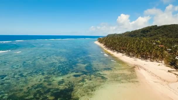 空中では、熱帯の島の美しいビーチを表示します。Siargao フィリピン. — ストック動画