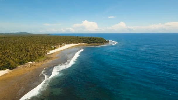 Seascape med tropisk ö, strand, klippor och vågor. Siargao, Filippinerna. — Stockvideo