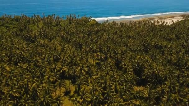 Mare con isola tropicale, spiaggia, rocce e onde. Siargao, Filippine . — Video Stock