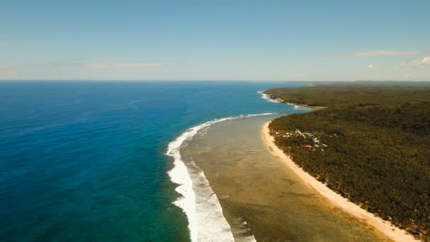 Aerial view beautiful beach on a tropical island. Philippines,Siargao. — Stock Video