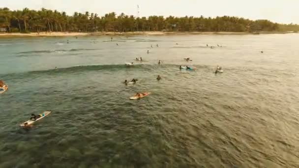 Flygfoto surfare på vågorna. Siargao, Filippinerna. Cloud 9. — Stockvideo