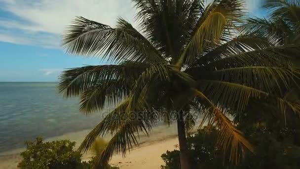 Vue aérienne belle plage sur une île tropicale. Philippines, Siargao .