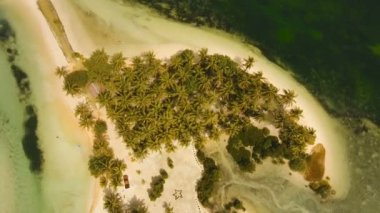 Hava güzel bir plaj tropikal bir adada görüntüleyin. Filipinler, Siargao.