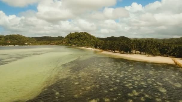 空中では、熱帯の島の美しいビーチを表示します。Siargao フィリピン. — ストック動画