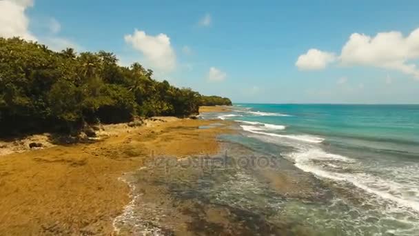 Βραχώδης παραλία σε ένα τροπικό νησί. Siargao Φιλιππίνες. — Αρχείο Βίντεο