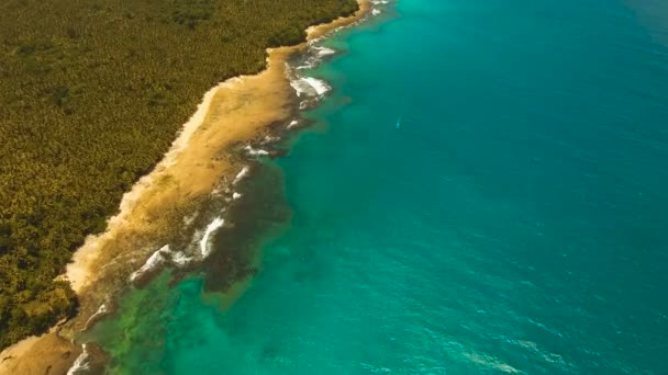 Aerial view beautiful beach on a tropical island. Philippines,Siargao. — Stock Video