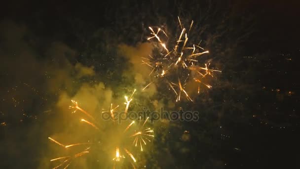 Vuurwerk aan de nachtelijke hemel — Stockvideo