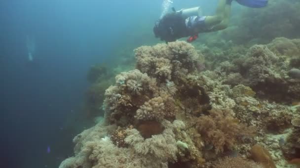 Buceador bajo el agua . — Vídeos de Stock