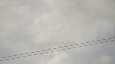 Cazibe zipline Bohol, Filipinler adadaki ormanda.