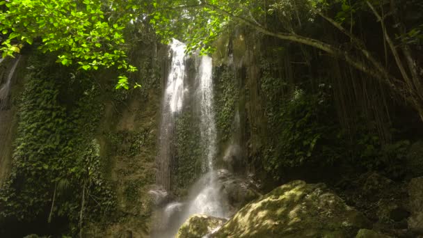 Vackra tropiska vattenfall. Filippinerna Bohol island. — Stockvideo