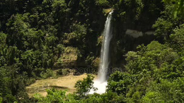 美丽的热带瀑布。菲律宾保和岛. — 图库视频影像