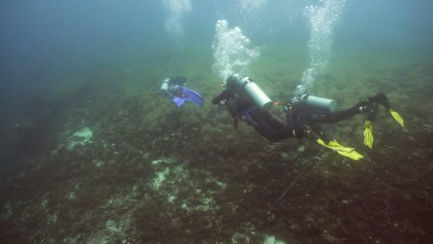 Дайвери під водою . — стокове відео