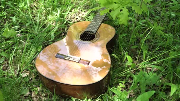 Acoustic guitar in the woods. — Stock Video