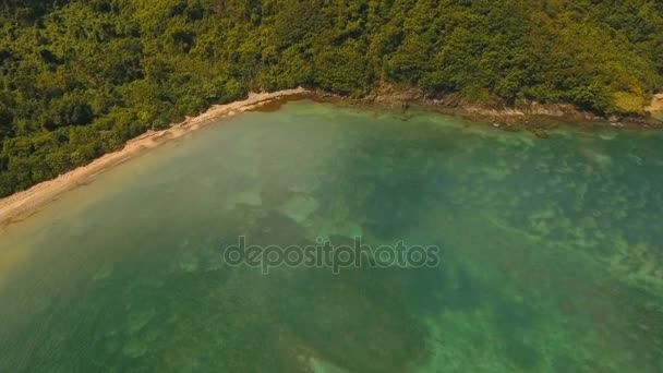 วิวทะเลสาบเขตร้อน ทะเล ชายหาด เกาะเขตร้อน Catanduanes, ฟิลิปปินส์ . — วีดีโอสต็อก