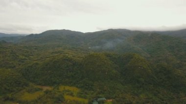 Tropikal orman ile Dağları. Filipinler Catanduanes Adası.