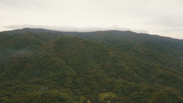 Βουνά με τροπικό δάσος. Φιλιππίνες Catanduanes νησί. — Αρχείο Βίντεο