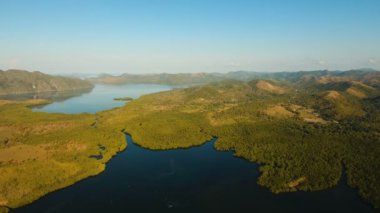Tropikal peyzaj, dağlar, orman, defne. Busuanga, Palawan, Filipinler.