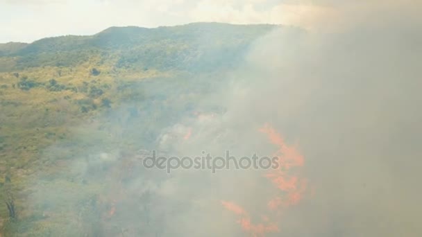 Vue aérienne Incendie de forêt. Busuanga, Palawan, Philippines .