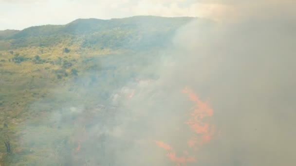 공중에서 산불을 목격하다. 필리핀, 팔 라완의 부산가. — 비디오