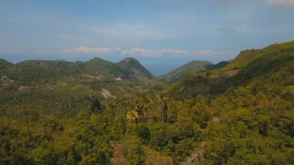 Hory s tropickým lesem. Filipíny Ostrov Cebu. — Stock video