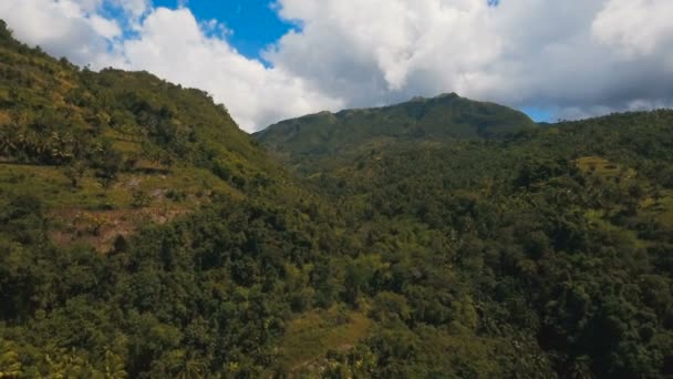 Tropikal ormanlı dağlar. Filipinler Cebu Adası. — Stok video