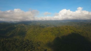Tropikal orman ile Dağları. Filipinler Catanduanes Adası.