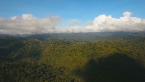Montanhas com floresta tropical. Filipinas Catanduanes ilha . — Vídeo de Stock