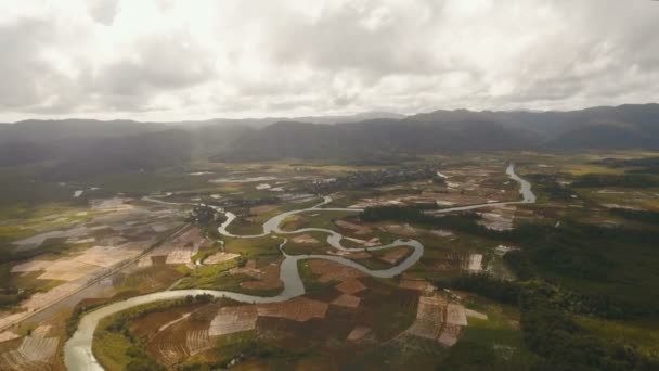 Mangrovenwald in Asien. philippinen catanduanes insel. — Stockvideo