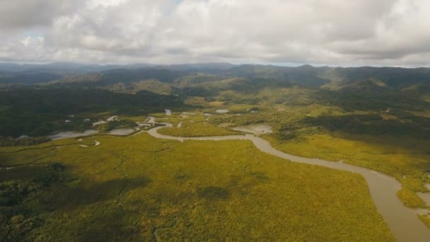 Мангровые леса в Азии. Филиппинский остров Катандуанес . — стоковое видео