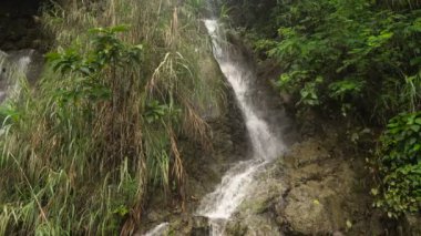 Güzel tropik şelale. Filipinler Cebu Adası.