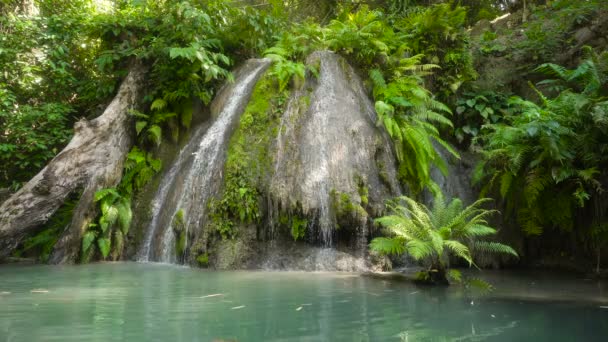 Bela cachoeira tropical. Filipinas Ilha Cebu . — Vídeo de Stock