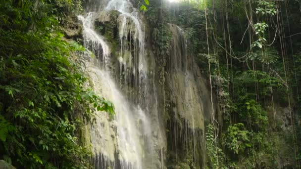 Wunderschöner tropischer Wasserfall. philippinische cebu-insel. — Stockvideo