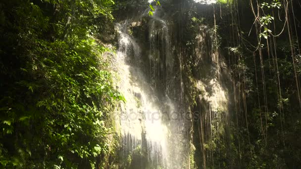 Prachtige tropische waterval. Filippijnen-Cebu island. — Stockvideo