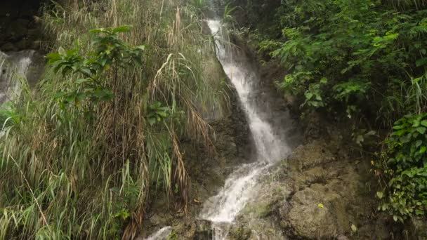 Beautiful tropical waterfall. Philippines Cebu island. — Stock Video
