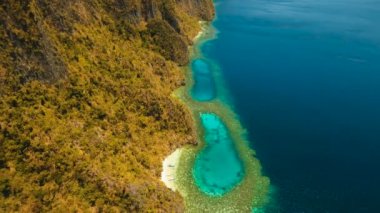 Hava manzaralı tropikal göl, deniz, sahil. Tropikal ada. Busuanga, Palawan, Filipinler.