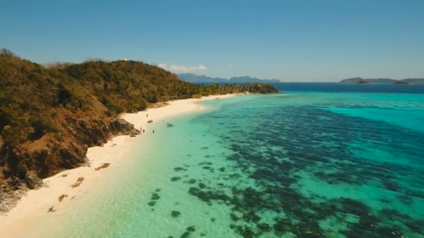 Aerial view beautiful beach on a tropical island Malcapuya. Philippines. — Stock Video