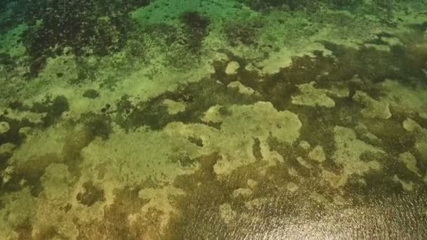 Vatten ytan Flygfoto. Siargao island Filippinerna. — Stockvideo