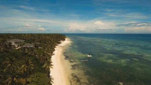 Vue aérienne belle plage sur une île tropicale. Philippines, région d'Anda . — Video