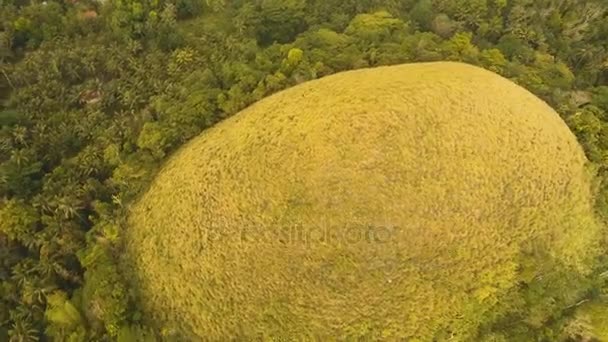 Çikolata Hills Bohol, Filipinler, anteni otellerini göster. — Stok video