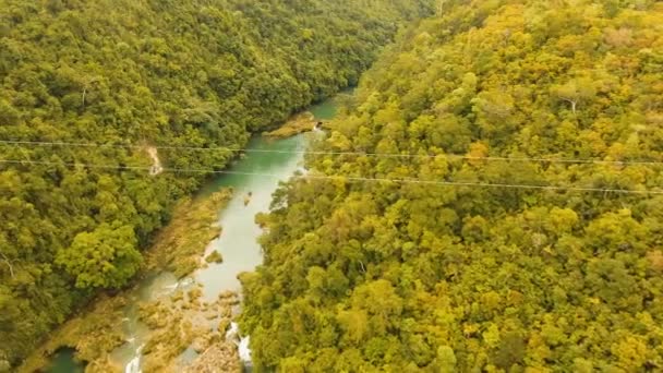 Zipline da atração na selva na ilha de Bohol, Filipinas . — Vídeo de Stock